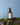 Body & Massage Oil