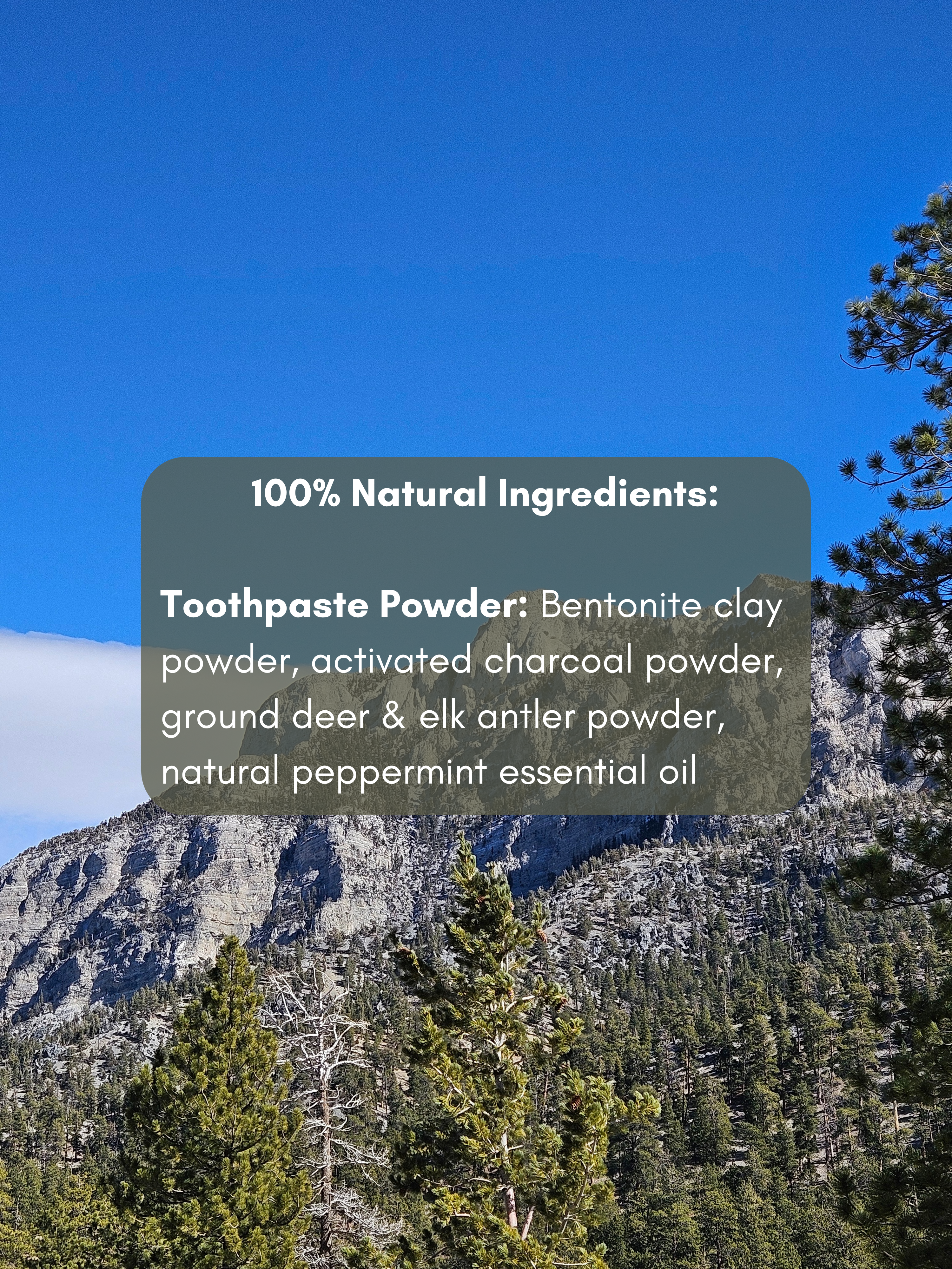 Toothpaste Stone Natural Toothpaste Powder – Stone & Spear
